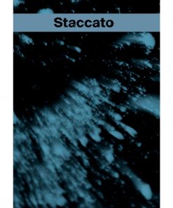 Couverture du livre Staccato de Maëva Benaiche. Constellation en bleu et noir avec titre.