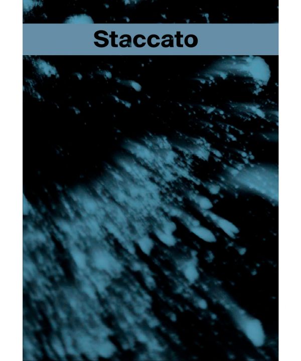 Couverture du livre Staccato de Maëva Benaiche. Constellation en bleu et noir avec titre.