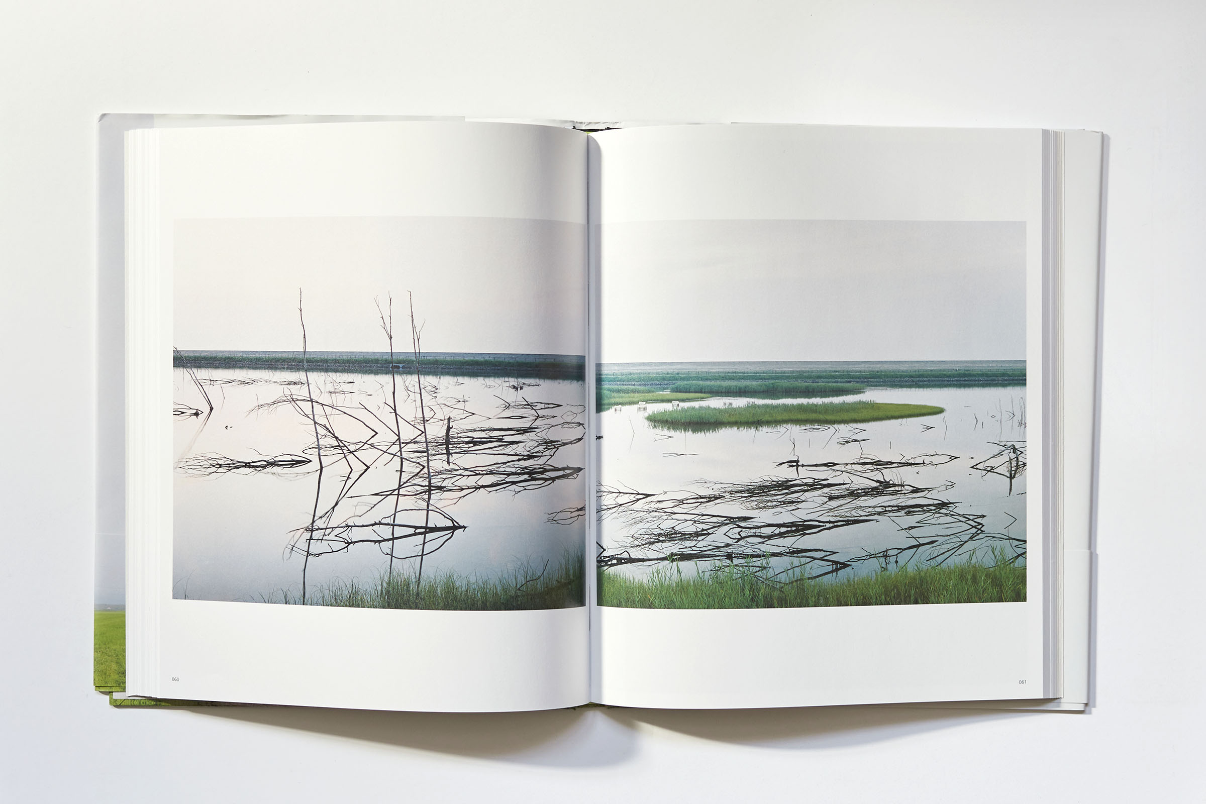 Visuel de la maquette du livre Tsunami Trees de Naoya Hatakeyama (Light Motiv, 2025).