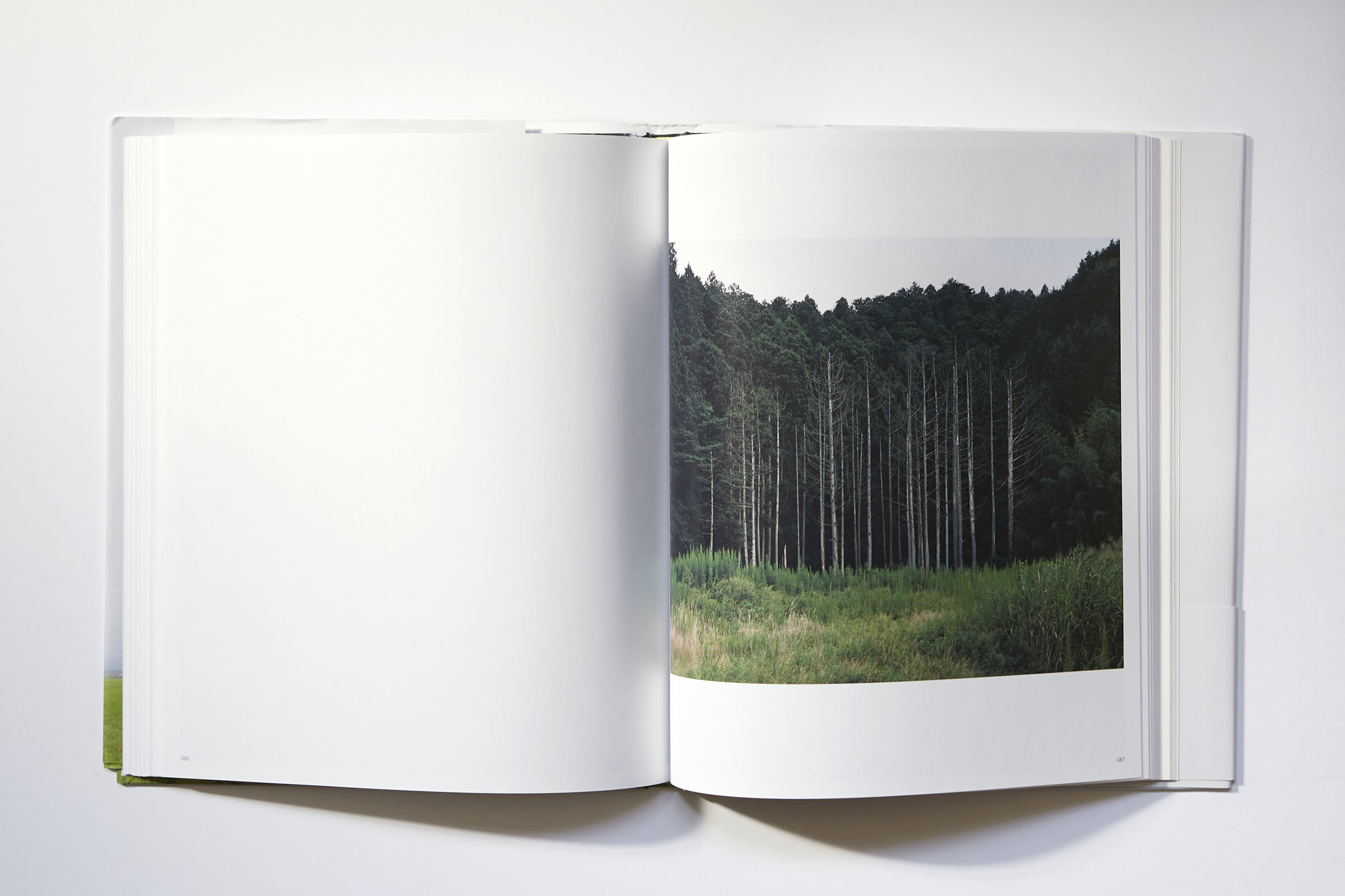 Visuel de la maquette du livre Tsunami Trees de Naoya Hatakeyama (Light Motiv, 2025).