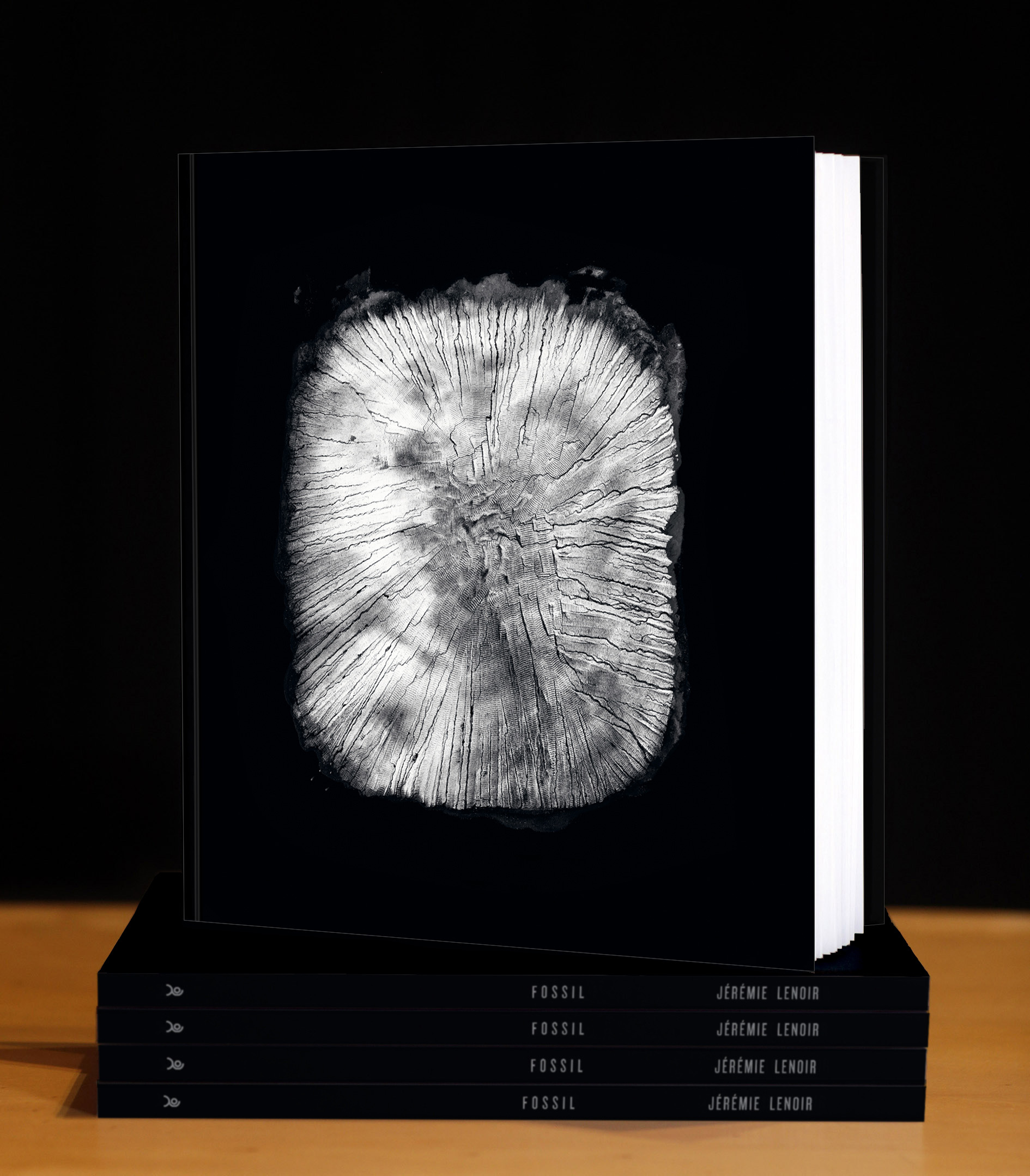 FOSSIL – Image 2