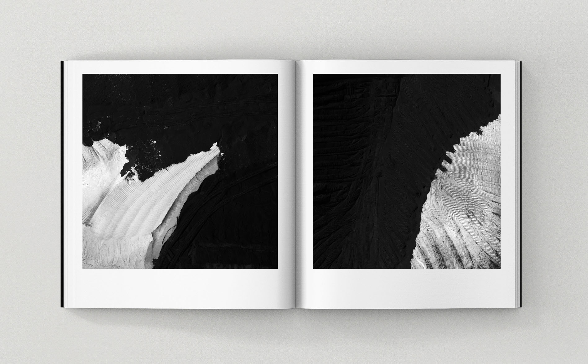 FOSSIL – Image 5